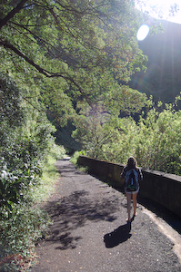 Jesse, returning back to the Pali Lookout, uphill.